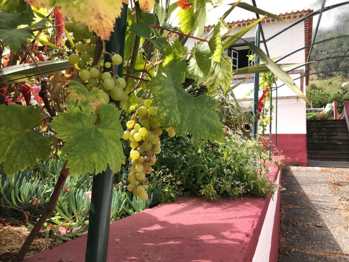 Casa Oliveira Esmeraldo - Guest Houses São Vicente Екстериор снимка
