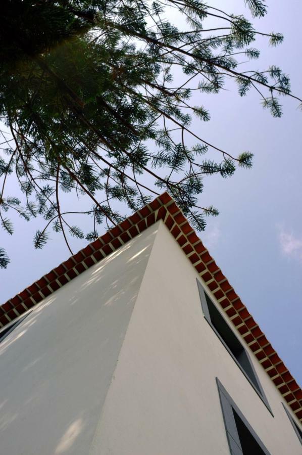 Casa Oliveira Esmeraldo - Guest Houses São Vicente Екстериор снимка